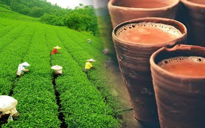 Indian tea Industry