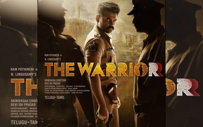 warrior 12 Days Collections