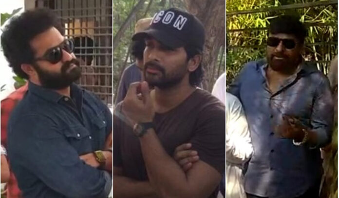 Telugu Cinema Icons Chiranjeevi, Allu Arjun, and Jr. NTR Lead by Example, Cast Early Votes in Telangana Elections