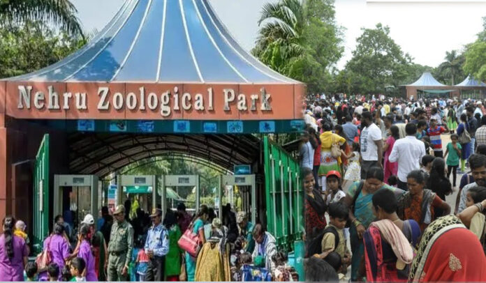 Record Attendance at Nehru Zoo During Christmas Holidays