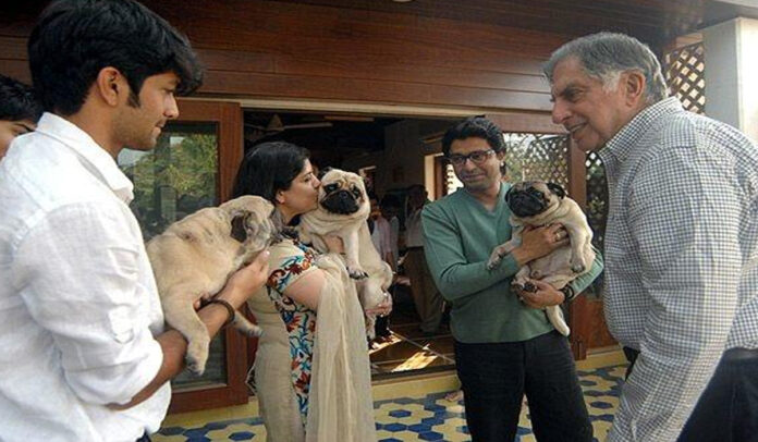 Ratan Tata's Compassionate Vision Unveiling Mumbai's Premier Hospital for All kind of animals