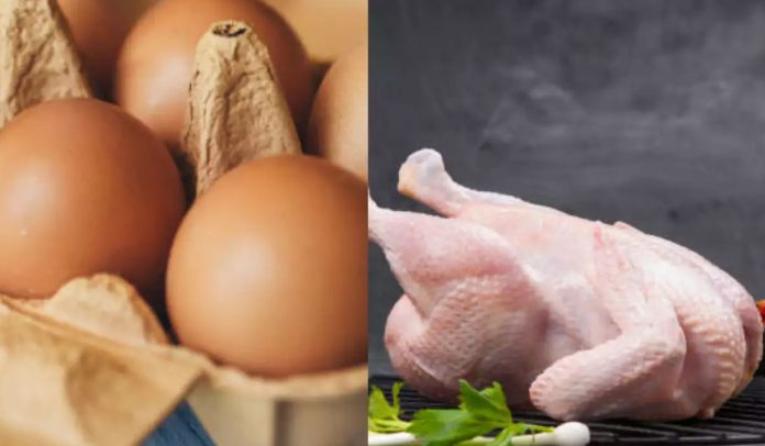 Chicken VS Eggs: Which is healthier to eat, chicken or eggs?